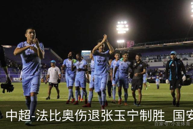 中超-法比奥伤退张玉宁制胜 国安1-0西海岸14轮不败