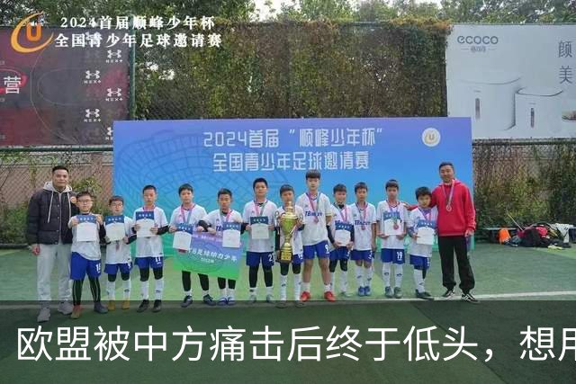 欧盟被中方痛击后终于低头，想用一换一来救阿斯麦供应商