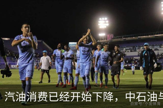汽油消费已经开始下降，中石油与中石化为何还要大举扩建加油站？