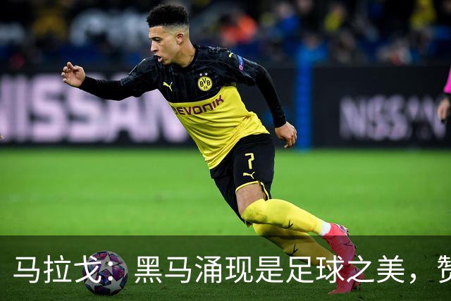 马拉戈：黑马涌现是足球之美，赞拉齐奥领跑