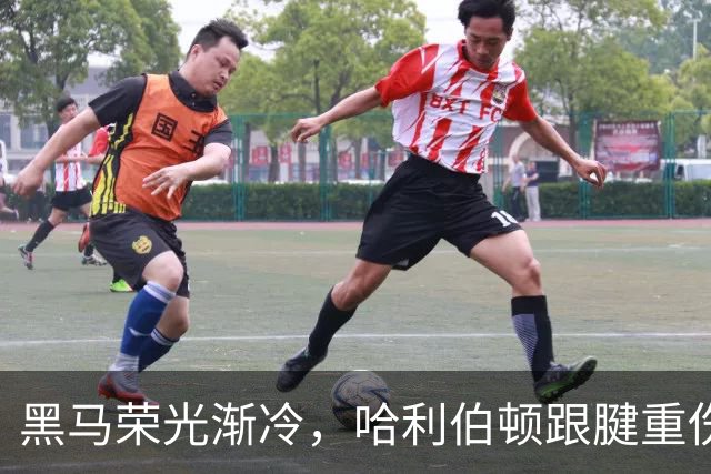 黑马荣光渐冷，哈利伯顿跟腱重伤归来重新出发
